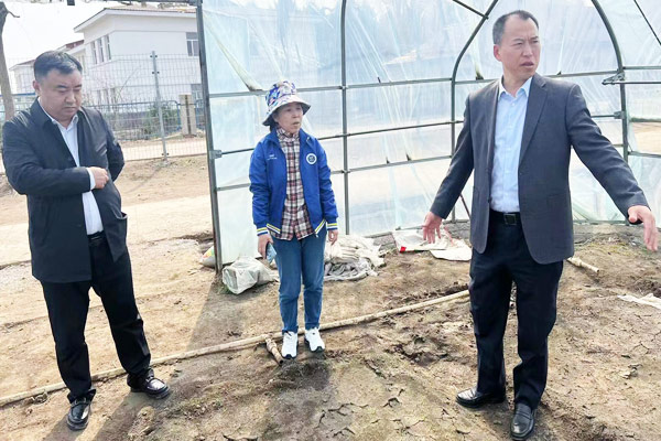院风院貌