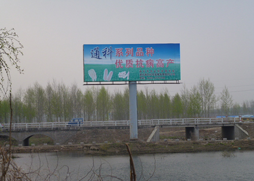 院风院貌