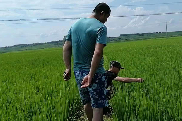 院风院貌