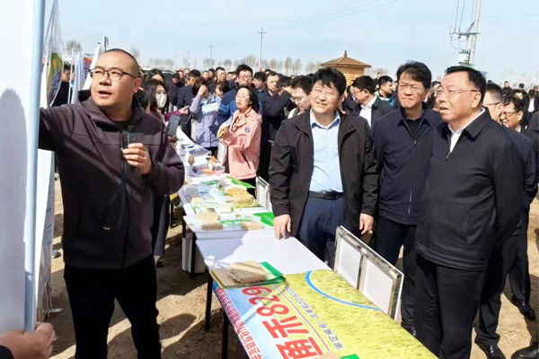 院风院貌