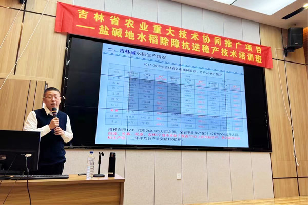 院风院貌